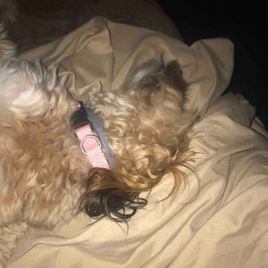 Meet your Posher, Lydia